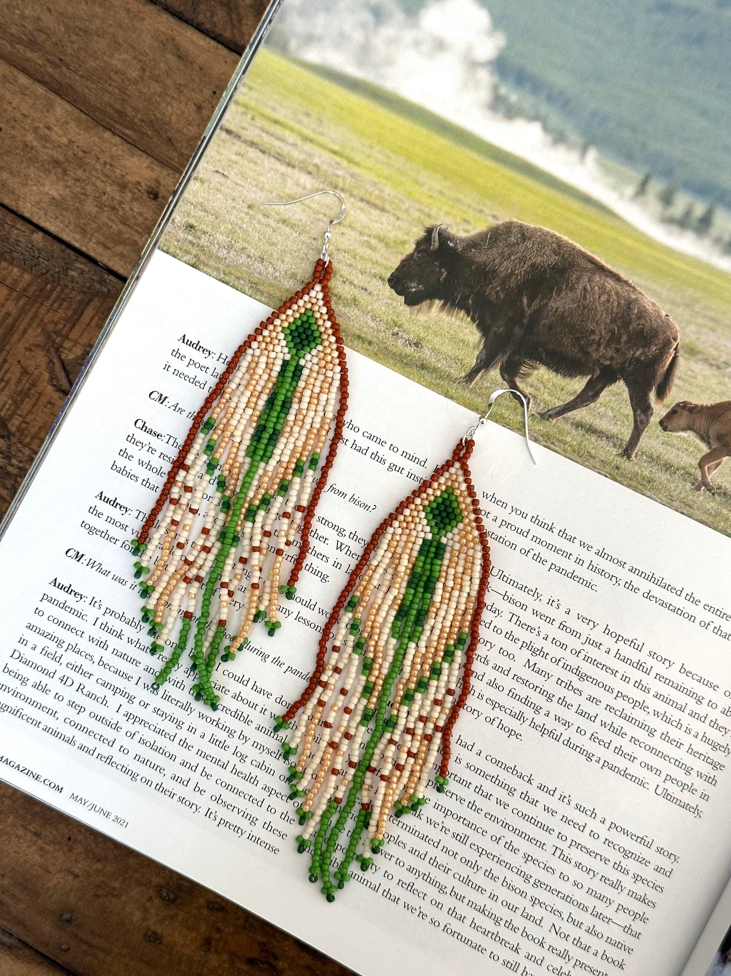 Meadows Fringe Earrings