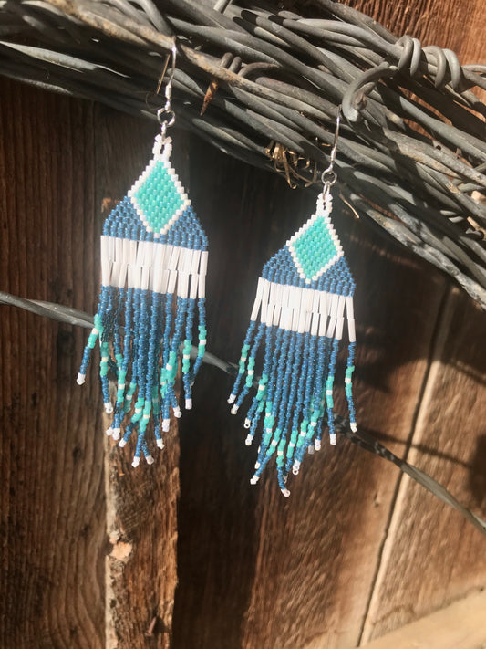 Luna Fringe Earrings